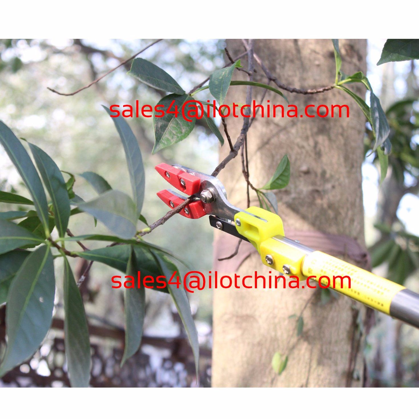 Ilot 6-10FT Extendable Cut and Hold Long Reach Tree Pruner