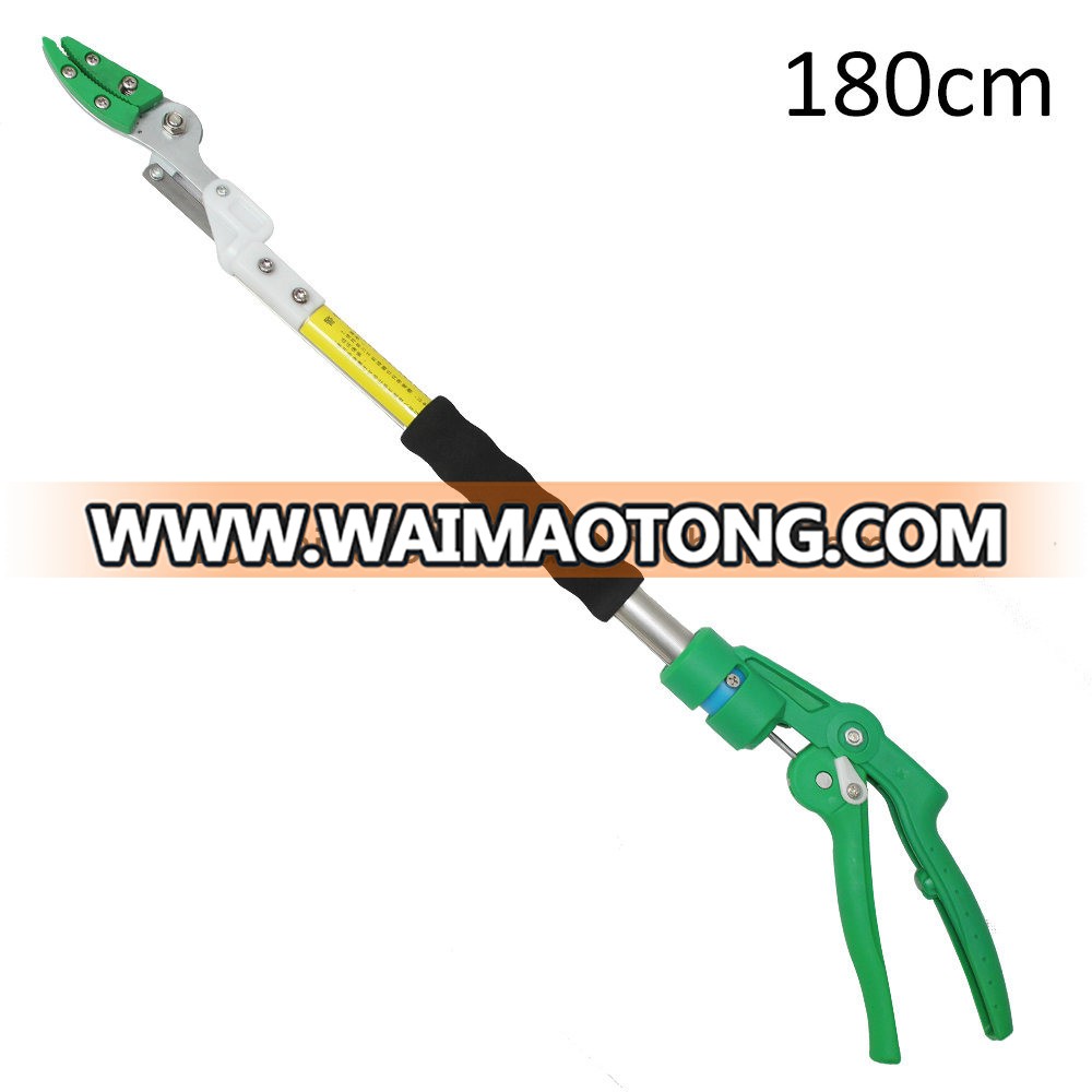 180cm Pole Prune Tree Pruning Long Reach Pruner